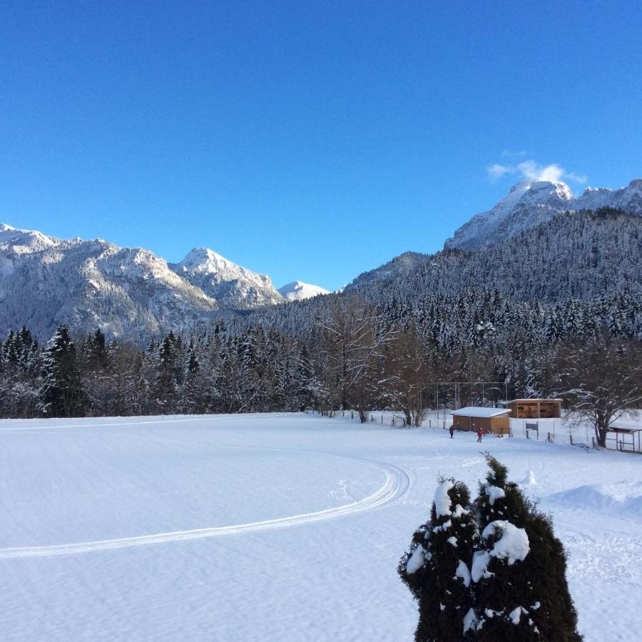 Chalet Im Haus Schlossblick 福森 外观 照片
