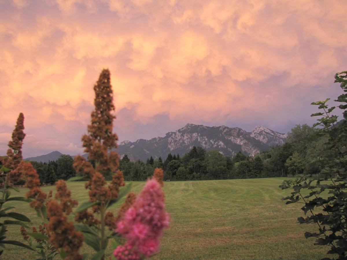 Chalet Im Haus Schlossblick 福森 外观 照片